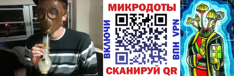 купить   Тамбов  Псилоцибиновые грибы Psilocybe 