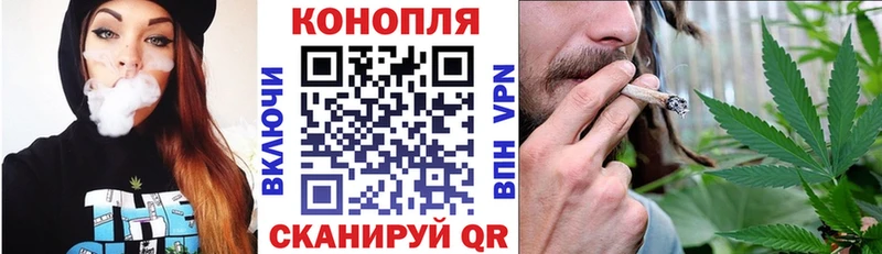 наркотики  Тамбов  Шишки марихуана конопля 